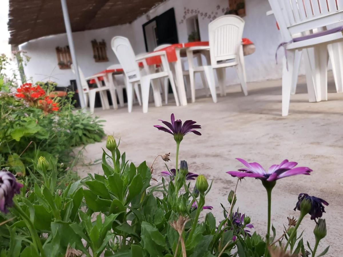 Es Barranco Vendégház Ferreries Kültér fotó