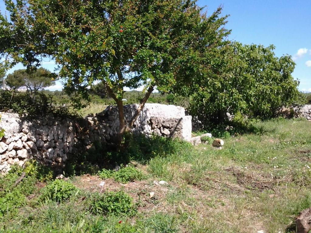 Es Barranco Vendégház Ferreries Kültér fotó